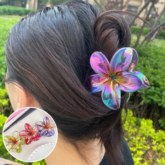 pince cheveux pour chignon